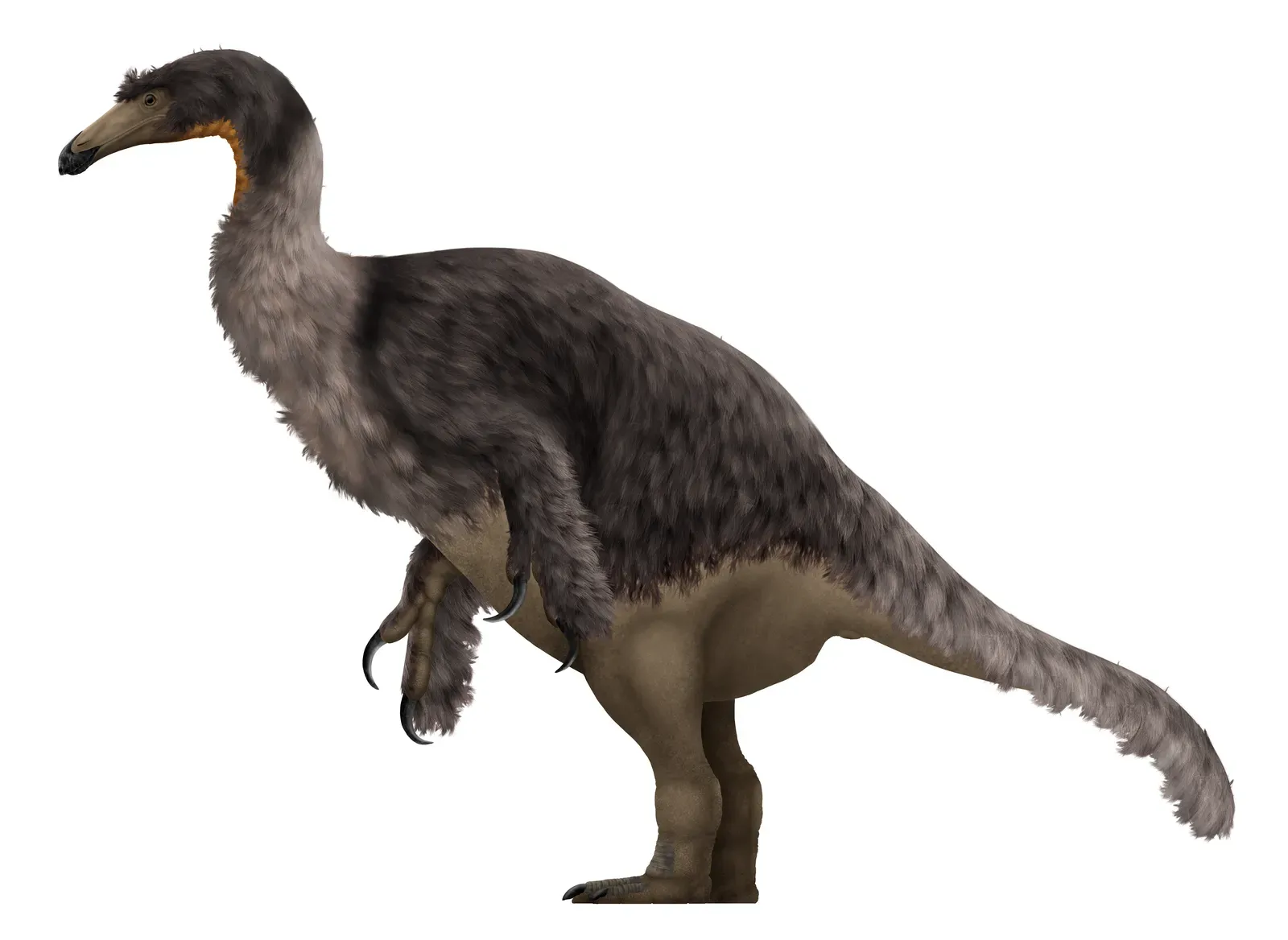 An Explosive Year for New Species Discoveries (Image Credits: Wikimedia)