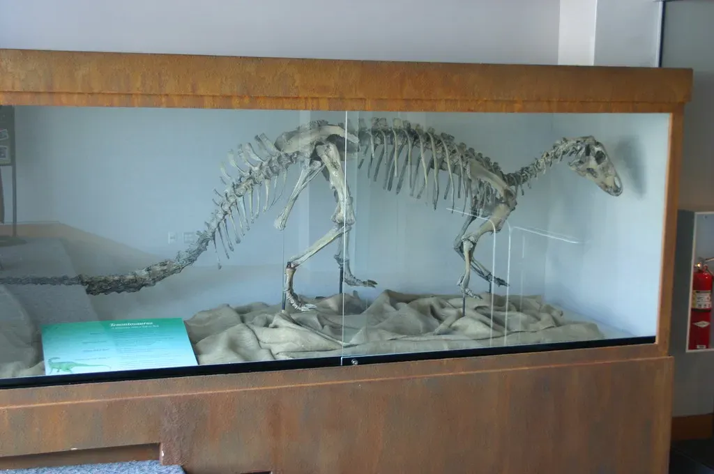4. Tenontosaurus of Big Bend: The Underdog Herbivore With a Dangerous Neighborhood (Ryan Somma, Flickr, CC BY-SA 2.0)