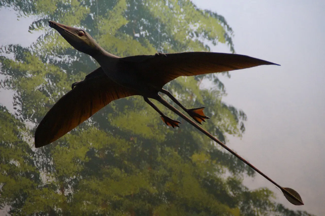 June – Pterosaurs: The Visionary Sky‑Dwellers (Image Credits: Pixabay)