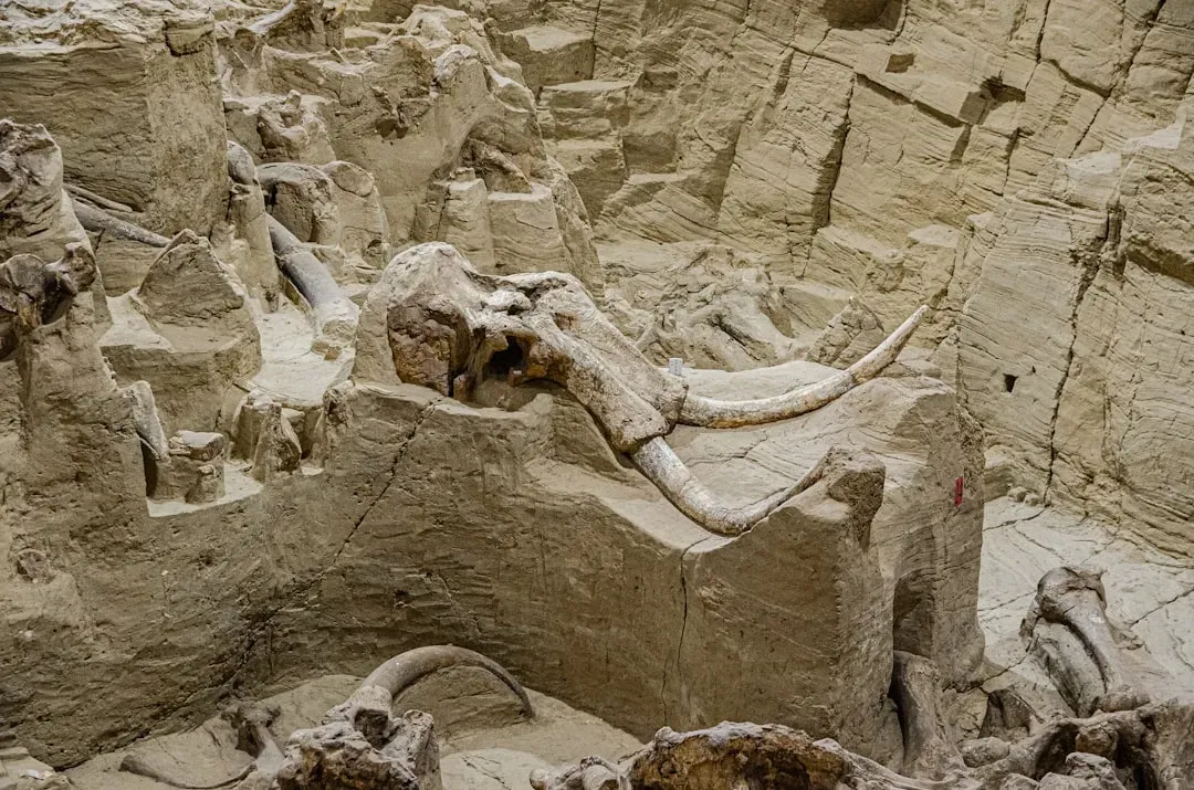 Conclusion: The West Is Still Talking (Image Credits: Unsplash)