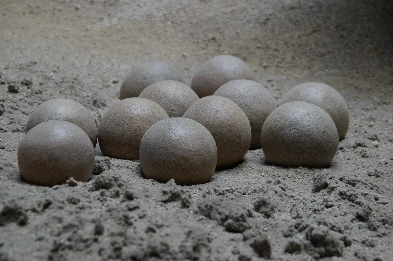The Very First Dinosaur Eggs Were Soft, Not Hard (Image Credits: Pixabay)