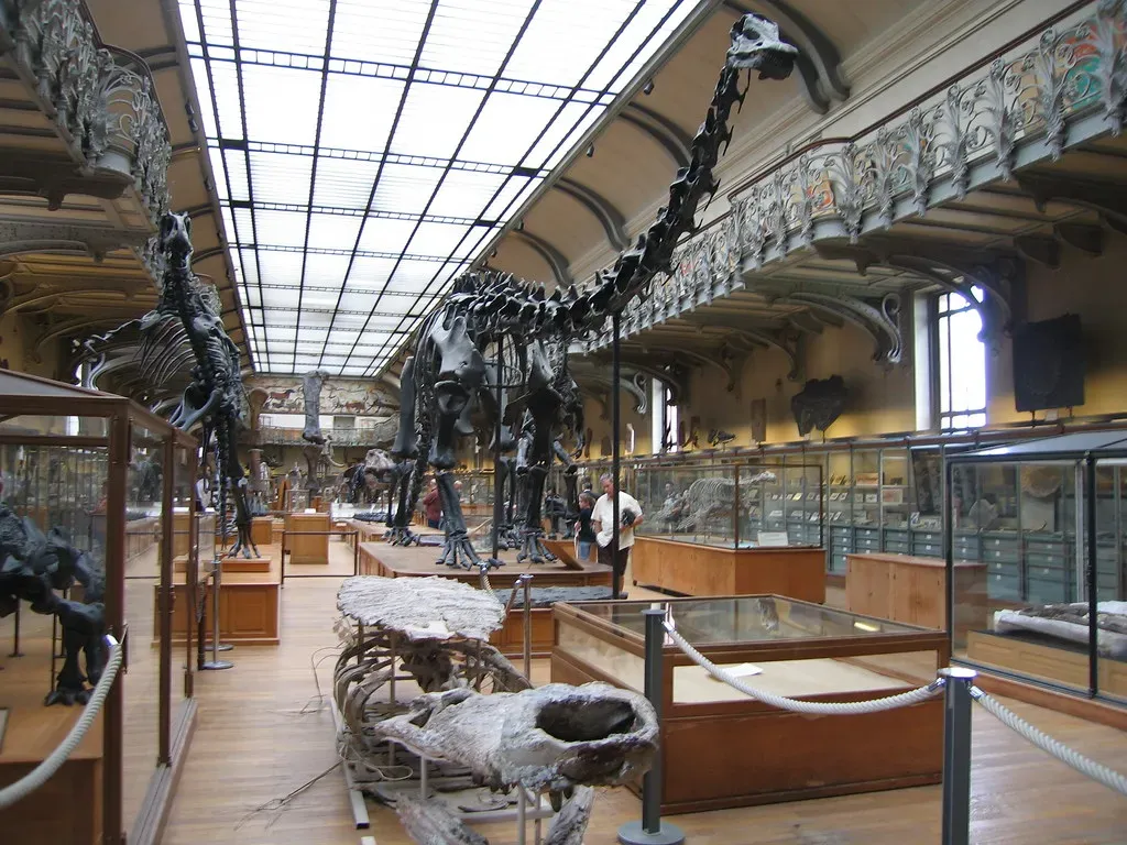 1. They Thought Giant Bones Belonged To Oversized Humans (mtkopone, Flickr, CC BY 2.0)