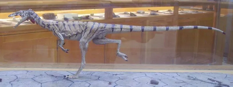 Compsognathus – The Tiny Terror (Image Credits: Wikimedia)
