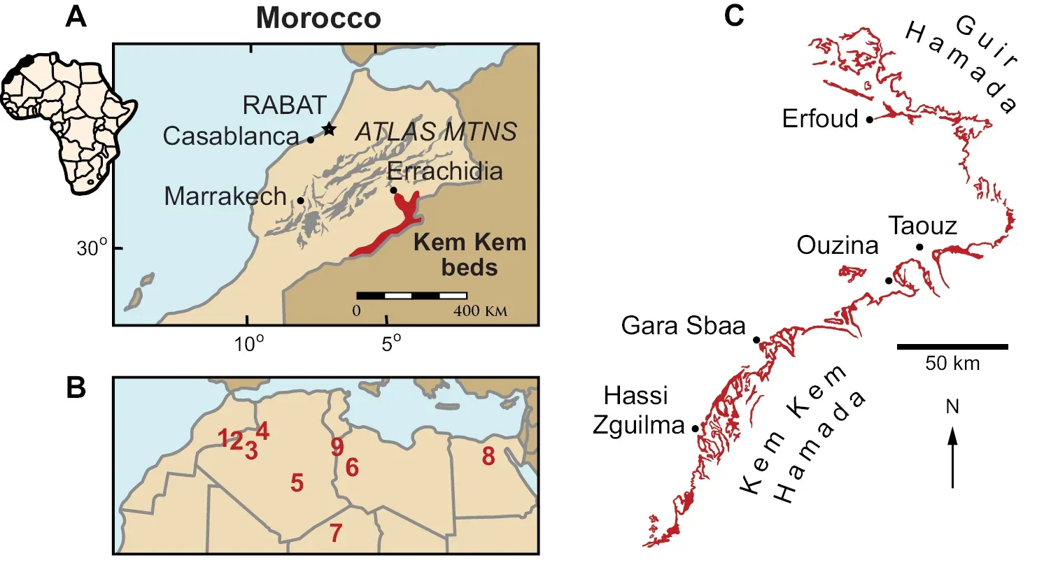 Is it really “the most important prehistoric site on Earth”? Why that claim matters (Ibrahim, N.; Sereno, P.C.; Varricchio, D.J.; Martill, D.M.; Dutheil, D.B.; Unwin, D.M.; Baidder, L.; Larsson, H.C.E.; Zouhri, S.; Kaoukaya, A. (2020). "Geology and paleontology of the Upper Cretaceous Kem Kem Group of eastern Morocco". ZooKeys 928: 1-216. DOI:10.3897/zookeys.928.47517., CC BY 4.0)