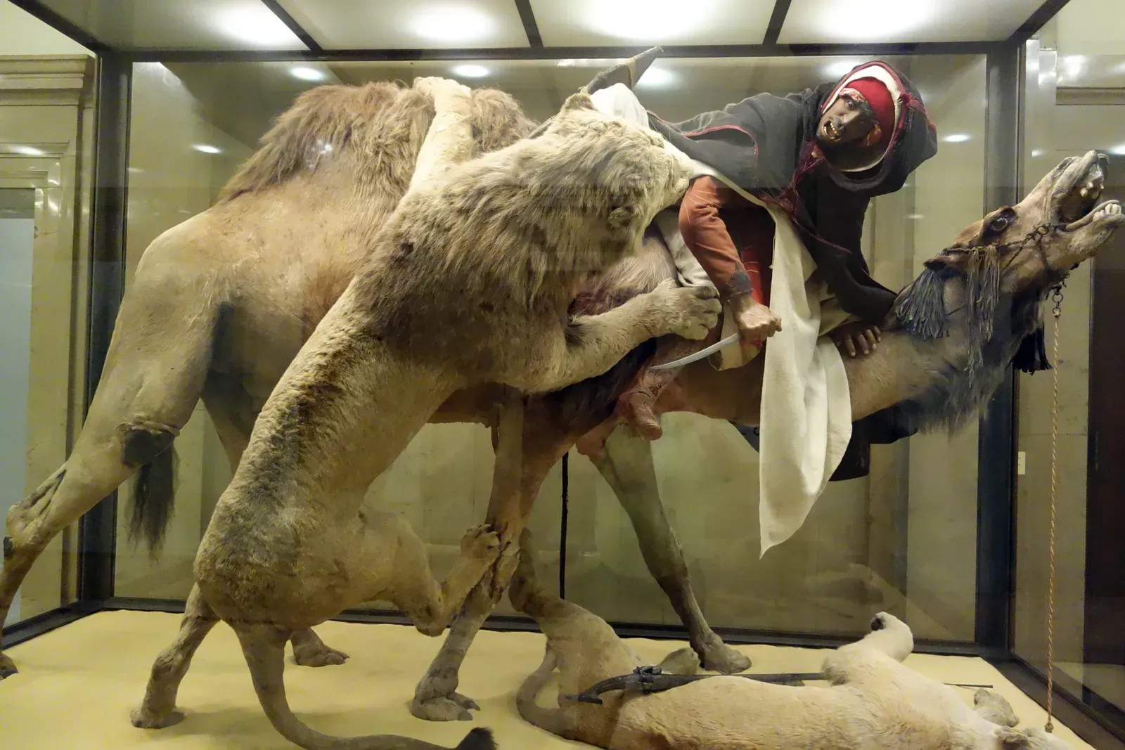 #7 - Violent, Racially Charged Taxidermy Scenes Get Covered Up (By Mike Steele, CC BY 2.0)