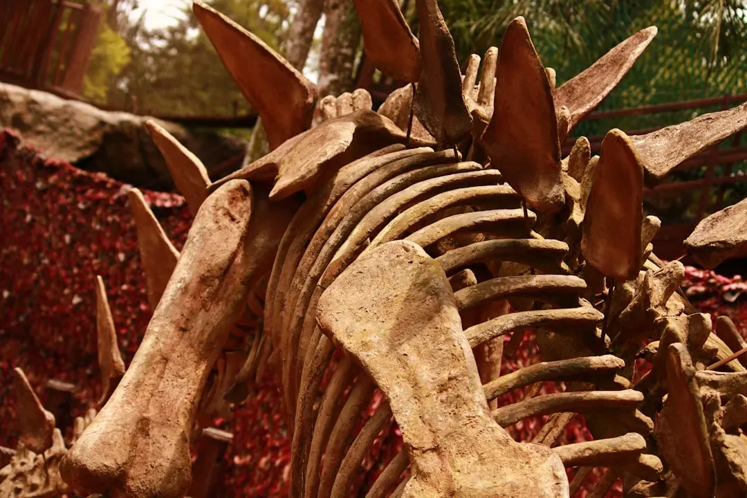 Reading Growth Rings: Bone Histology and the Age of Giants (Image Credits: Unsplash)