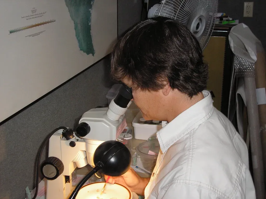 You See Connections Others Miss (Image Credits: Flickr)