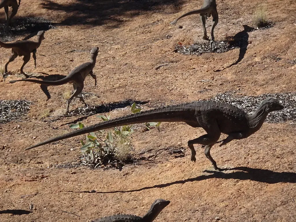 Behavioral Flexibility and Social Structures (Image Credits: Flickr)