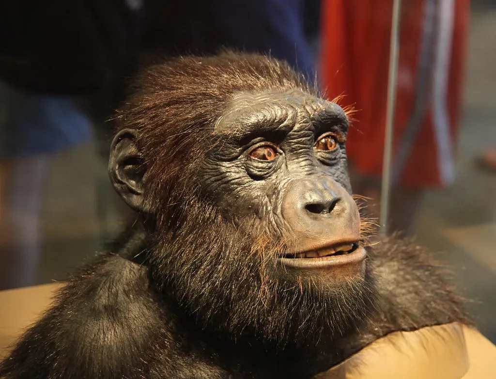 An Ape That Lived Between Two Worlds (Image Credits: Flickr)