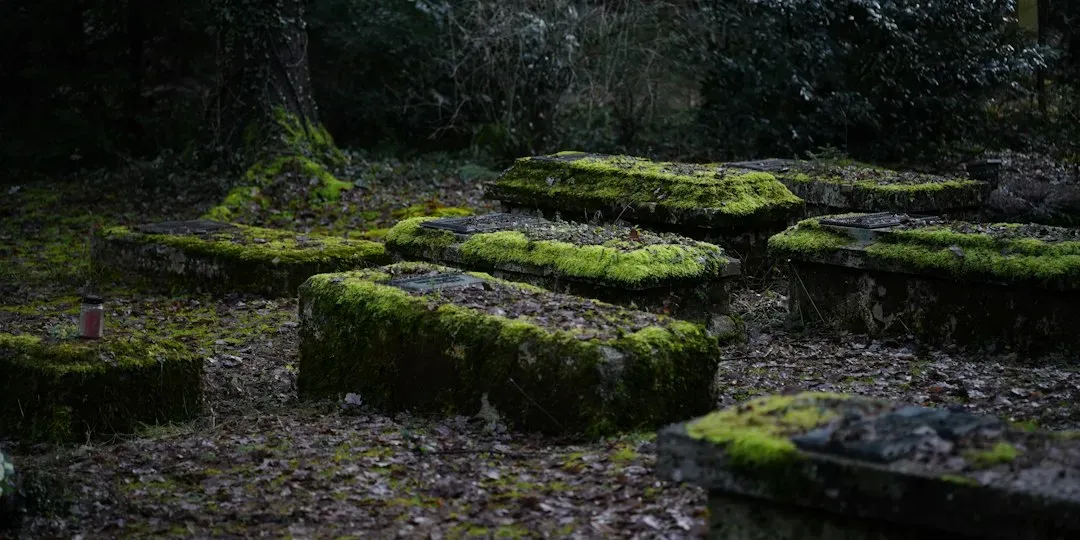 Conclusion: When Memory and Nature Share the Same Stone (Image Credits: Unsplash)
