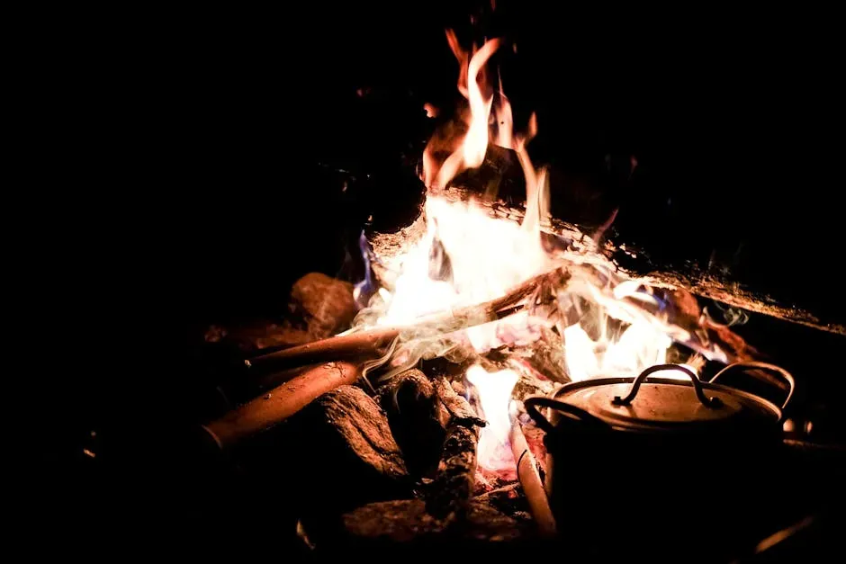 How Fire Rewired the Human Body and Brain (Image Credits: Pexels)
