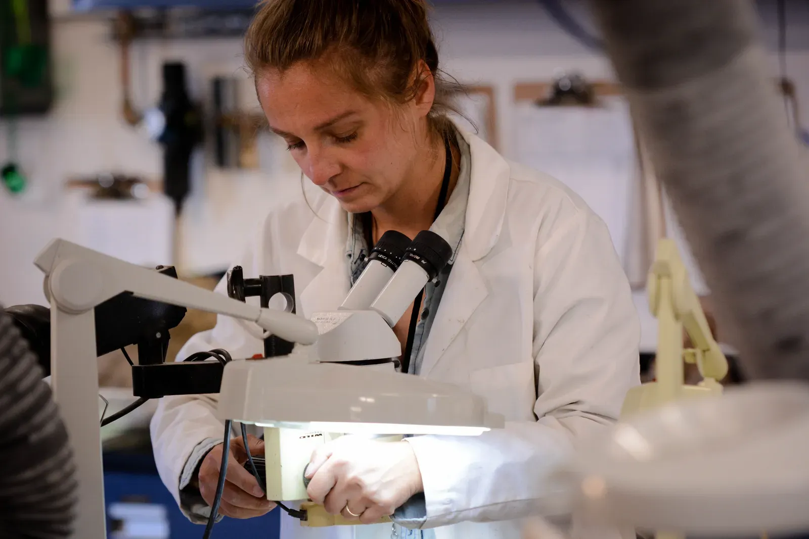 You Have a Genuine Passion for Science Across Multiple Disciplines (Image Credits: Wikimedia)