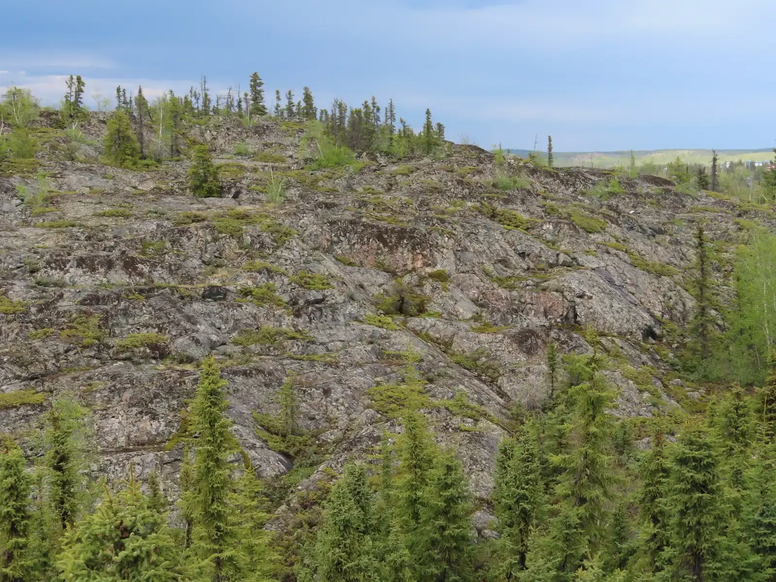 The Canadian Shield: North America's Ancient Heart (Image Credits: Wikimedia)
