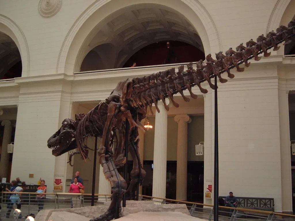 #3 - It Took 30,000 Hours Just to Get Her Ready for Display (mrkathika, Flickr, CC BY-SA 2.0)
