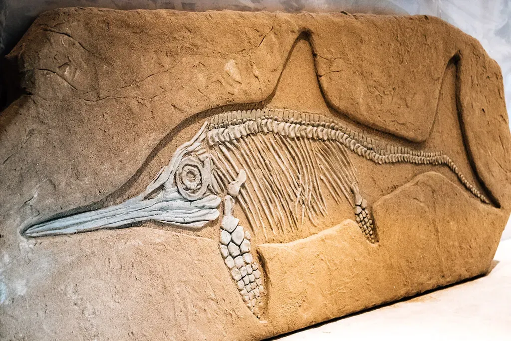 Conclusion: What Earth's Darkest Hour Teaches Us Today (Ivan Radic, Flickr, CC BY 2.0)