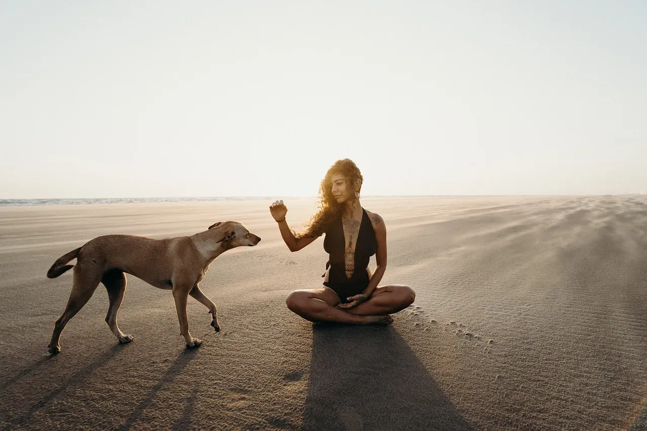 You Feel a Shift in Energy When the Animal Is Present or Mentioned (Image Credits: Pixabay)