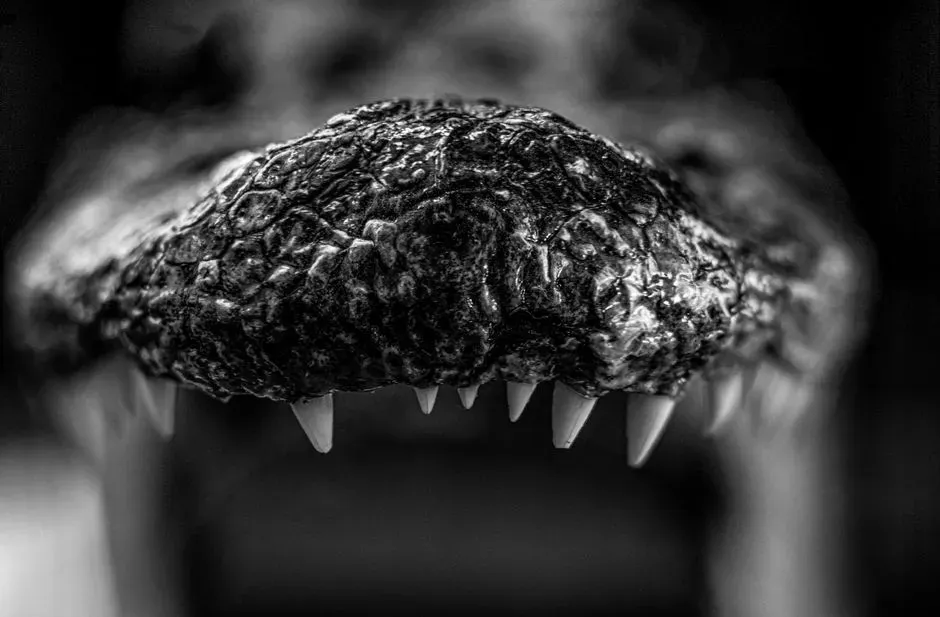 Vivid Imaginations: How Stories, Myths, and Media Keep Predators Alive in Our Minds (Image Credits: Pexels)