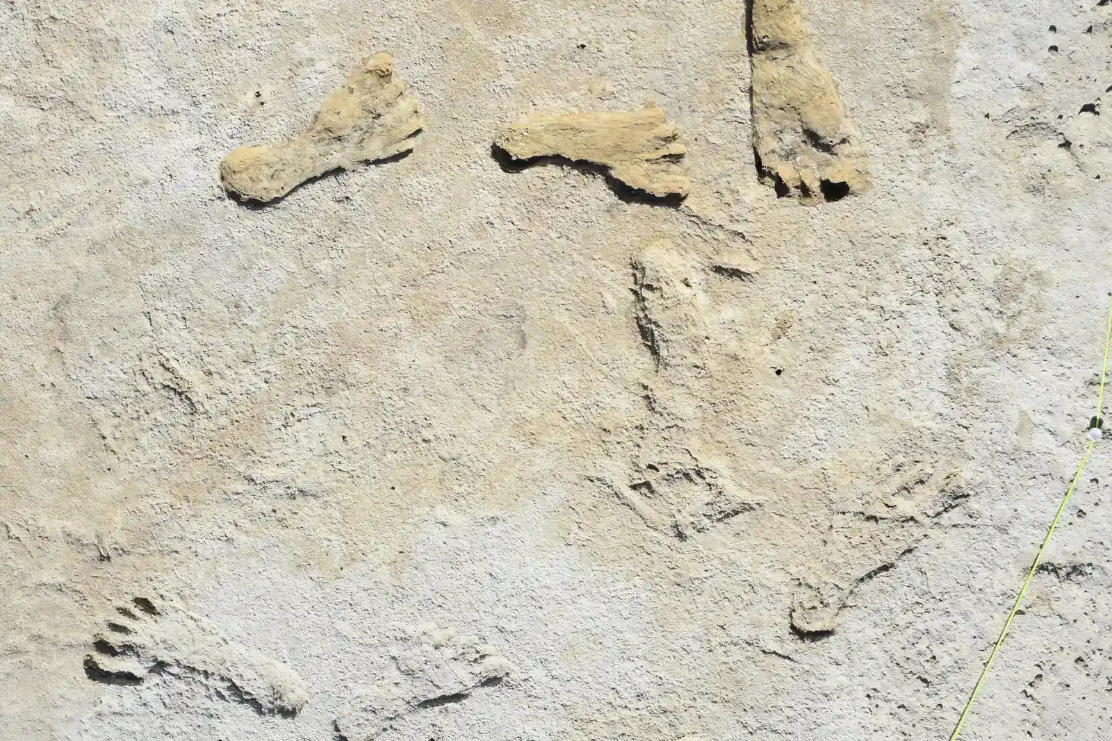 Footprints That Changed Everything (Image Credits: Wikimedia)