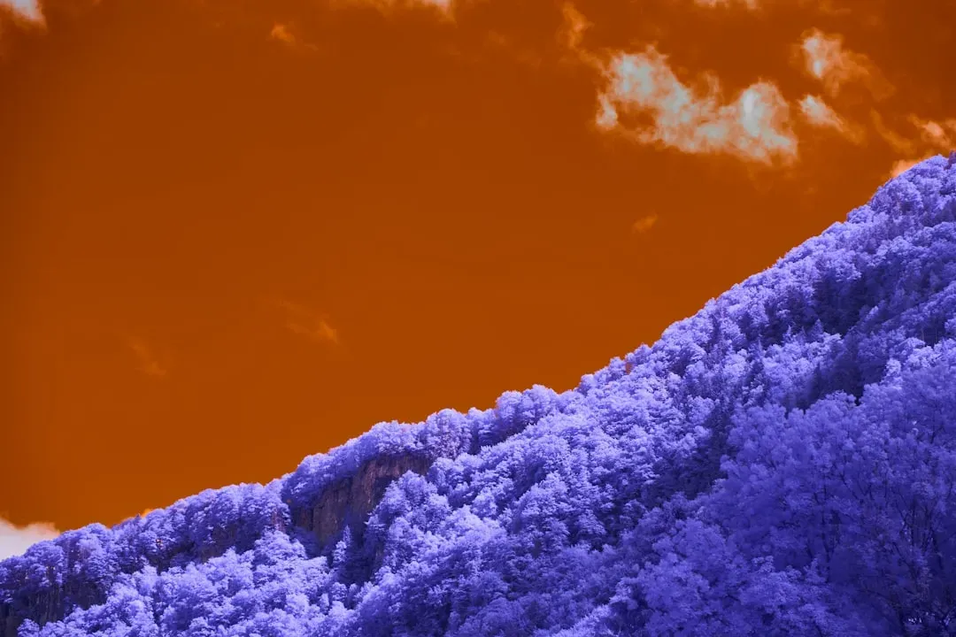 Sagittarius: Vibrant Purple and Orange (Image Credits: Unsplash)