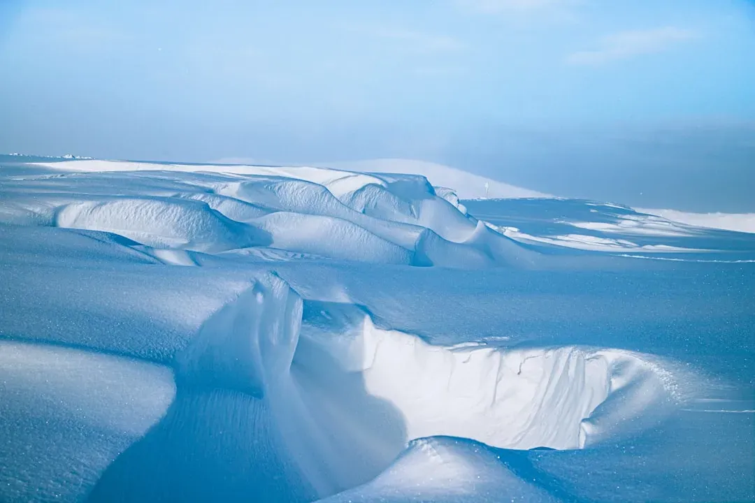 Ice Age Worlds: The Landscapes Humans and Saber-Toothed Cats Shared (Image Credits: Unsplash)