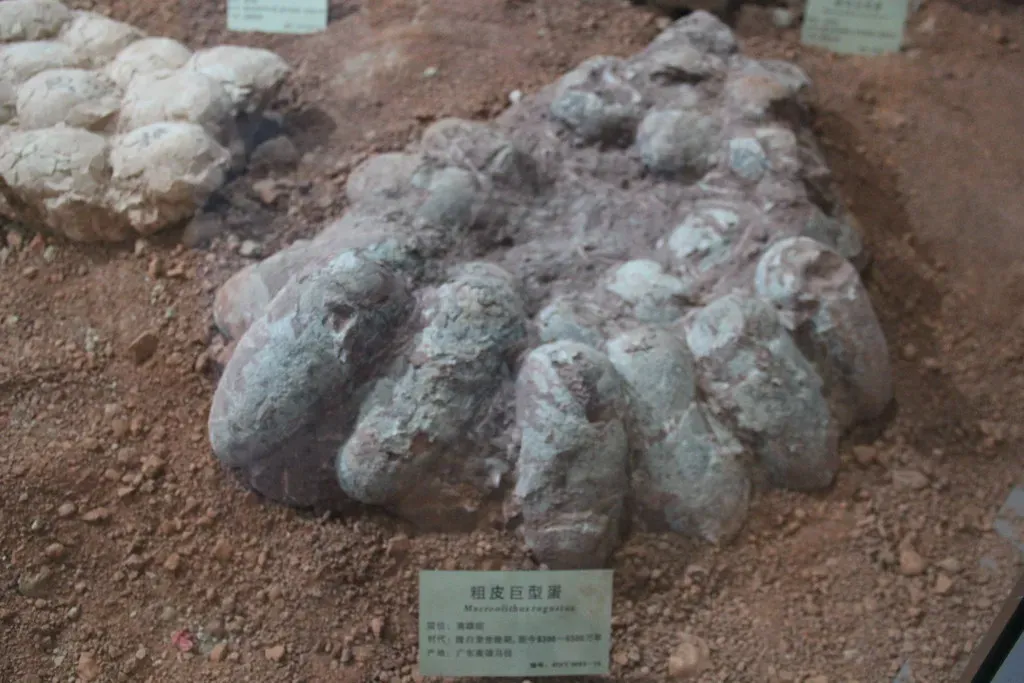 Some Dinosaur Eggs Were Blue and Green With Speckled Patterns (Image Credits: Flickr)