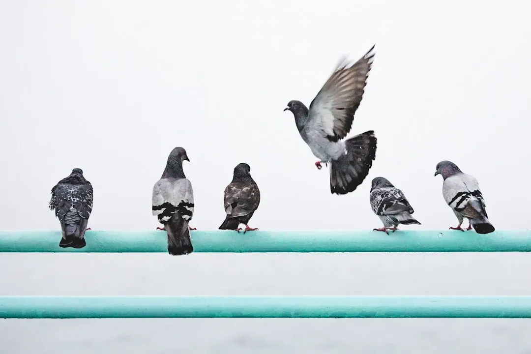 Birds: The Last Dinosaurs Learning to Dodge Skyscrapers (Image Credits: Unsplash)