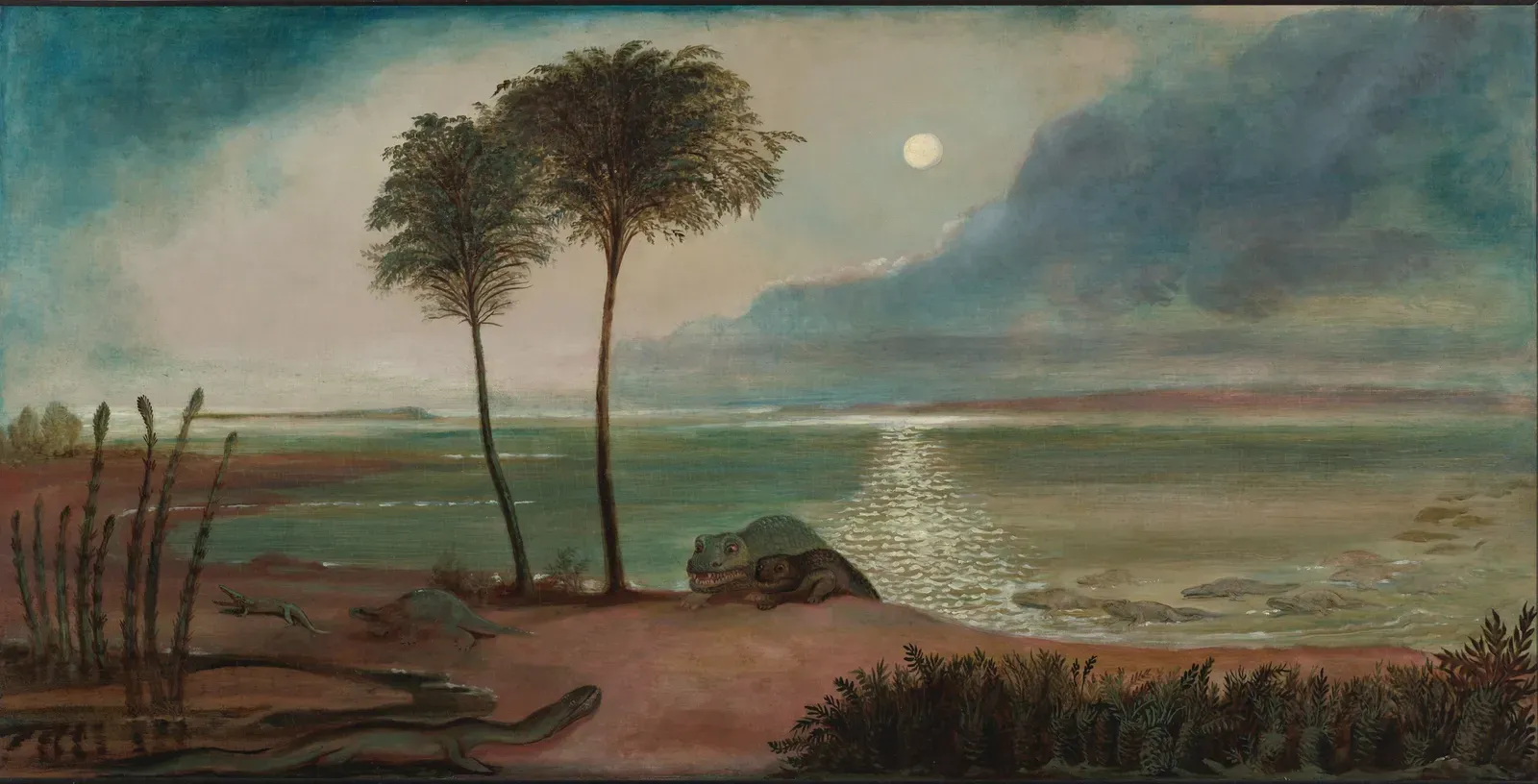 3. A World Without Ice - Anywhere (Image Credits: Wikimedia)