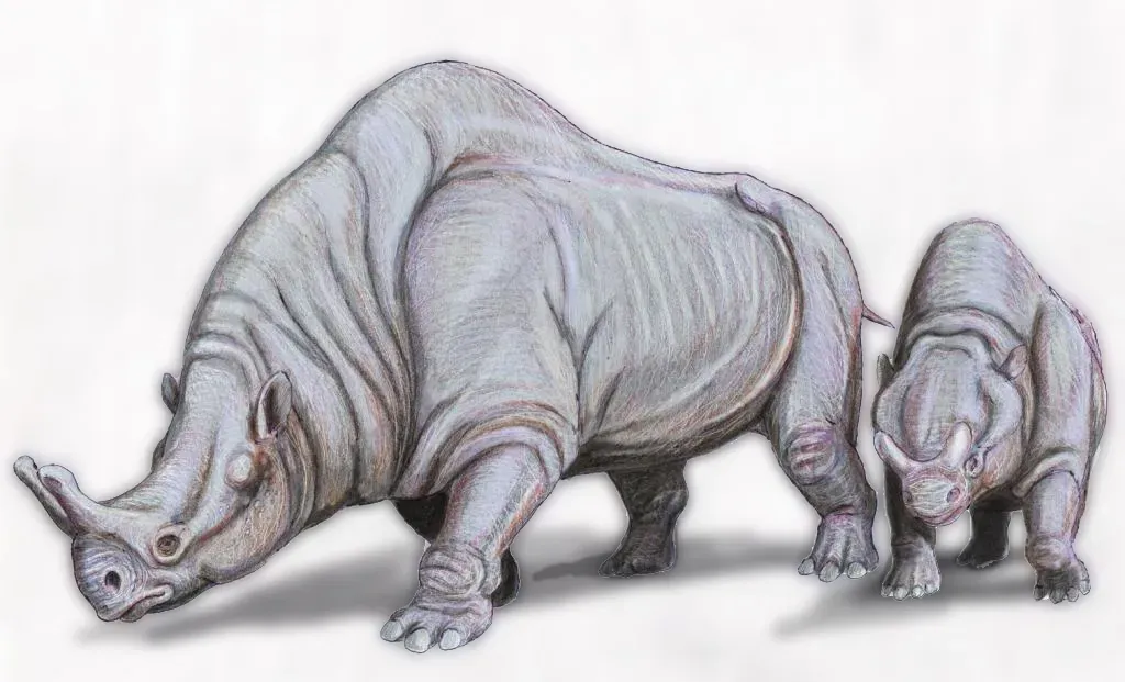 #13 - Brontotherium Loses to an Older Rival (dmitrchel@mail.ru, CC BY 3.0)