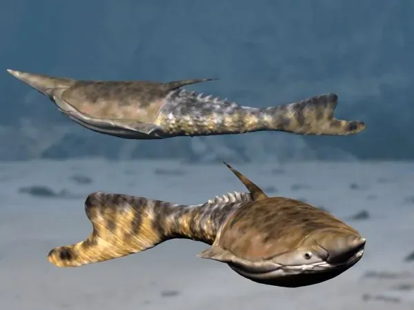 2. The Rise of Vertebrates and the Birth of the Cortex Blueprint (By Nobu Tamura (http://spinops.blogspot.com), CC BY-SA 3.0)