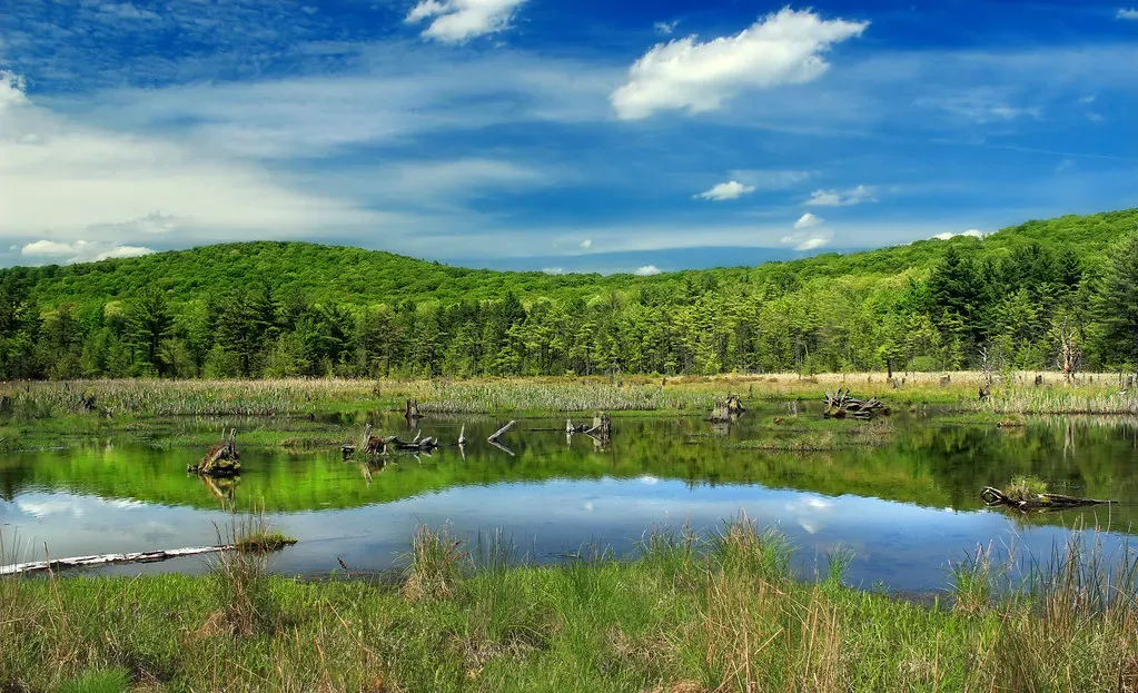 What Did Earth Look Like Before Dinosaurs Walked These Slopes? (Nicholas_T, Flickr, CC BY 2.0)