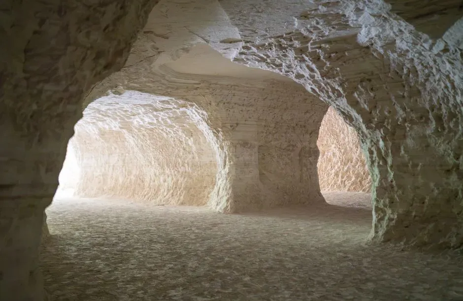 What These Sloth Tunnels Reveal About Our Planet’s Past (Image Credits: Pexels)