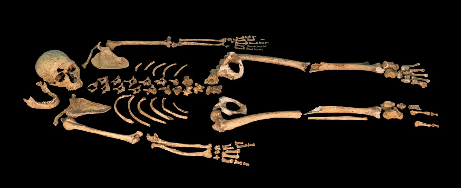 #6 - The Animal Bones Surrounding "The Old Man" of La Chapelle-aux-Saints (By Thilo Parg, CC BY-SA 4.0)