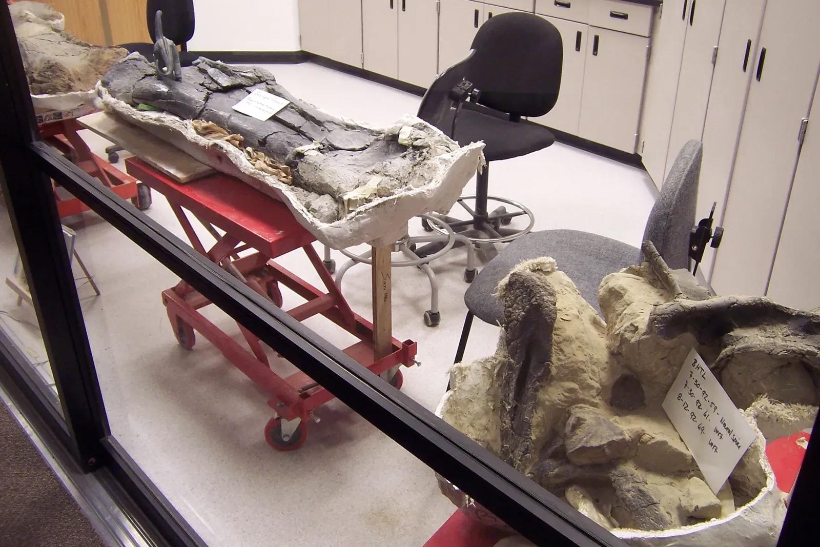 The Thrilling Discoveries That Keep Rewriting History (Image Credits: Wikimedia)