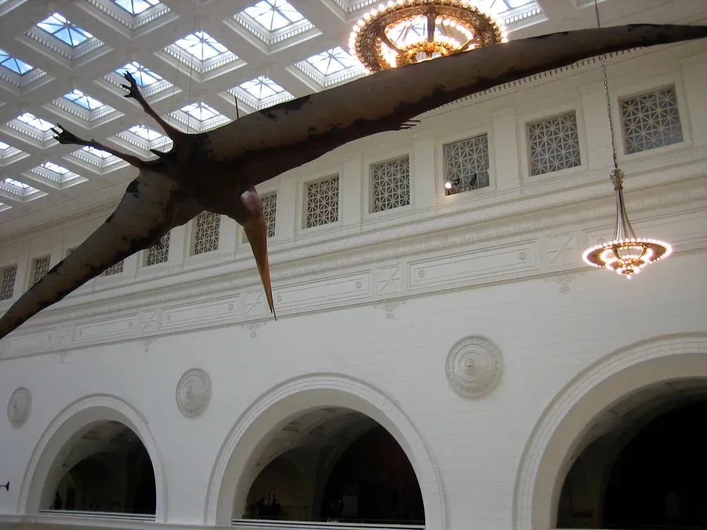 Conclusion: You Share a World Built by Reptile Aviators (adactio, Flickr, CC BY 2.0)