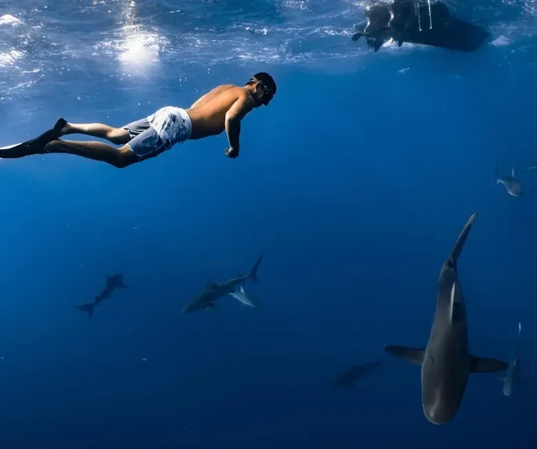 #7 - "Humans Look Like Seals" Was Only Half the Story (Image Credits: Pexels)