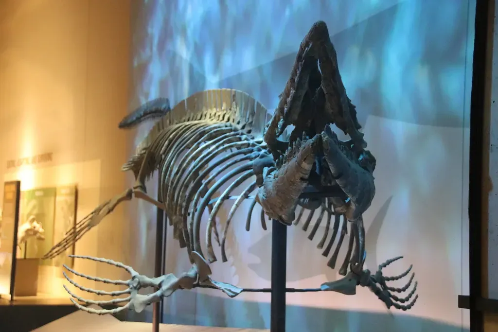 So Were Dinosaurs Really the Scariest Animals of Their Time? (Image Credits: Flickr)
