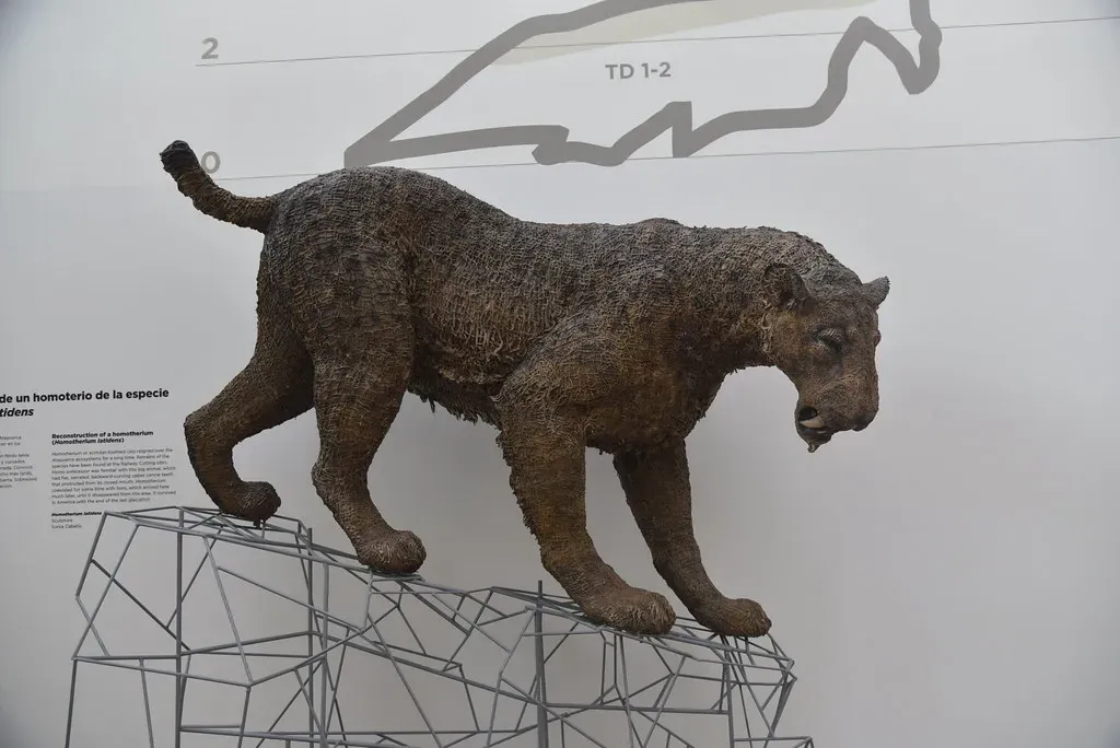 Homotherium: The Scimitar Cat That Hunted Mammoths at Night (conall.., Flickr, CC BY 2.0)
