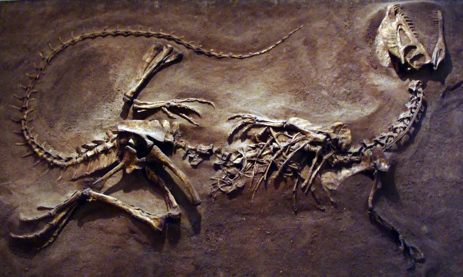 #2 - Its Discovery Story Has Nothing to Do With Hollywood (By Eduard Solà, CC BY-SA 3.0)