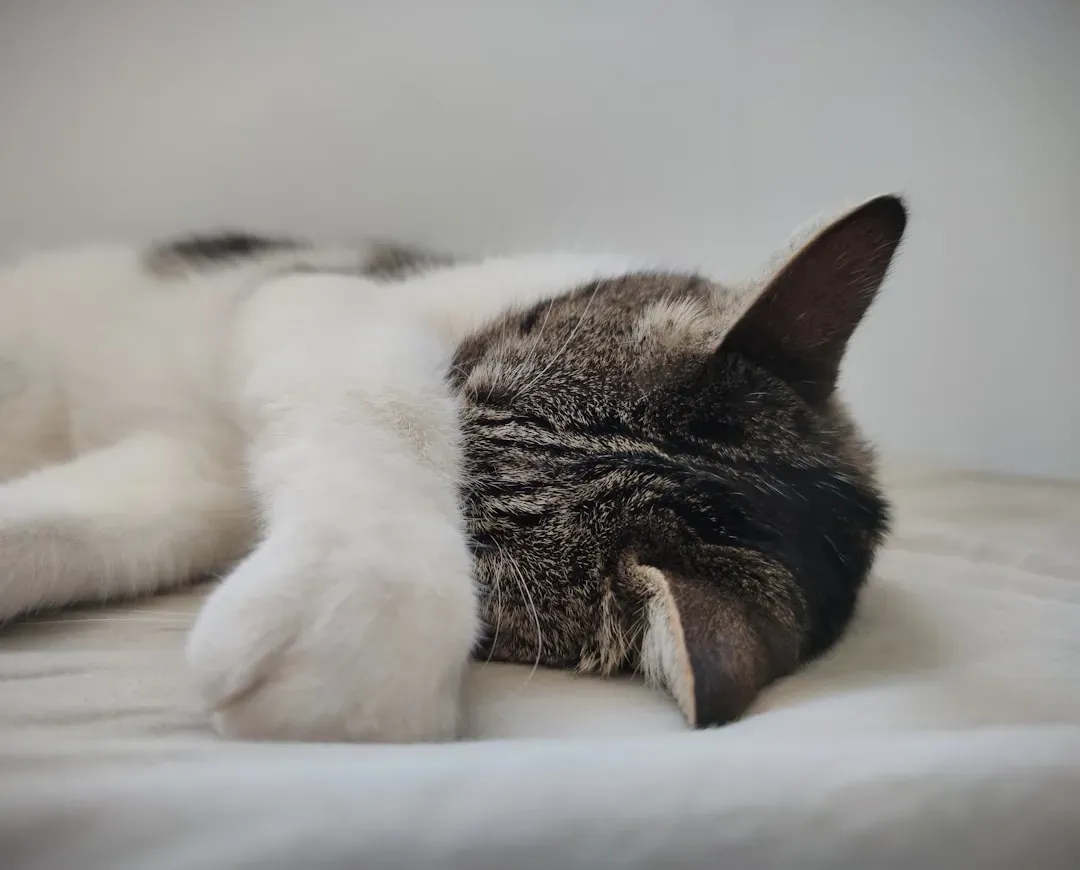 4. Sleep, Dreams, And Rest States Appear Across Many Animals (Image Credits: Unsplash)