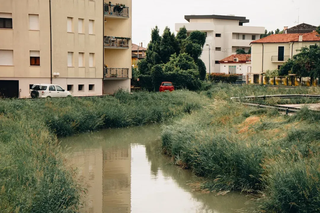 #5 A Ditch Records Urban Pollution and Everyday Human Habits (Image Credits: Unsplash)