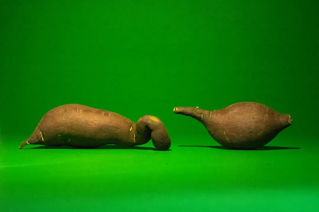 5. Wild tubers and bitter roots packed with dirt and fiber (Image Credits: Unsplash)