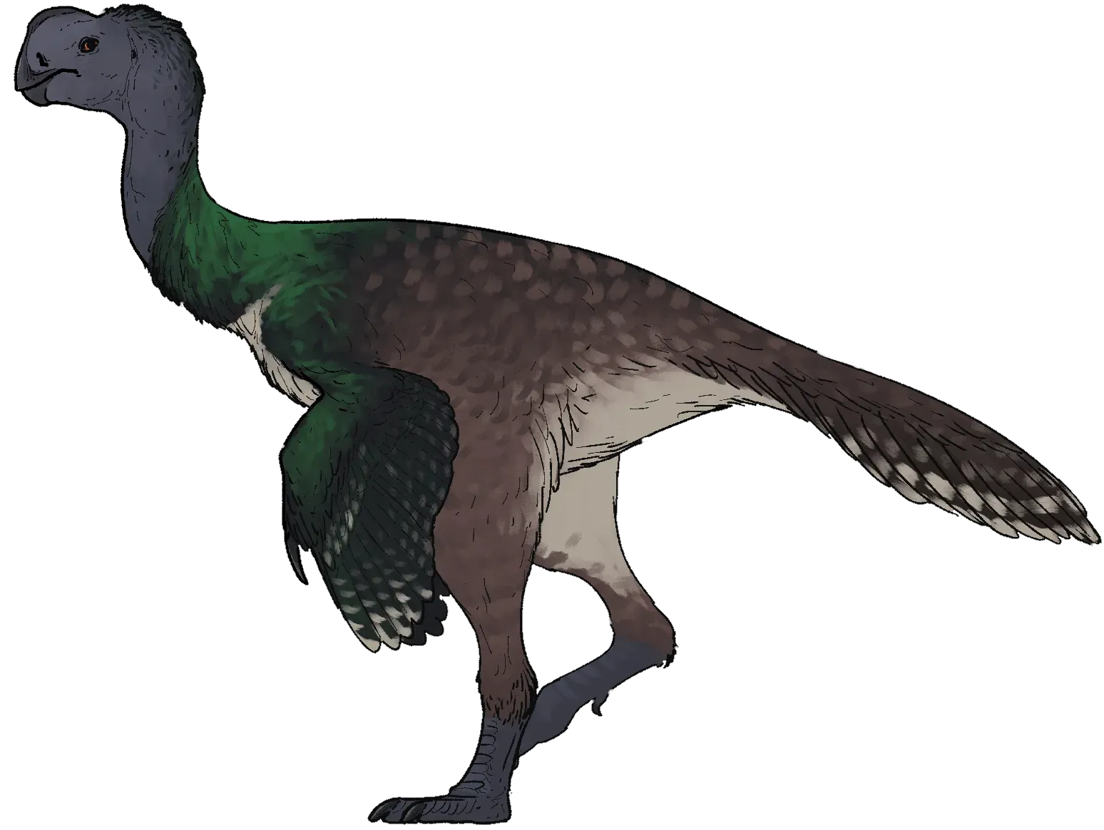 Eoneophron Infernalis: The