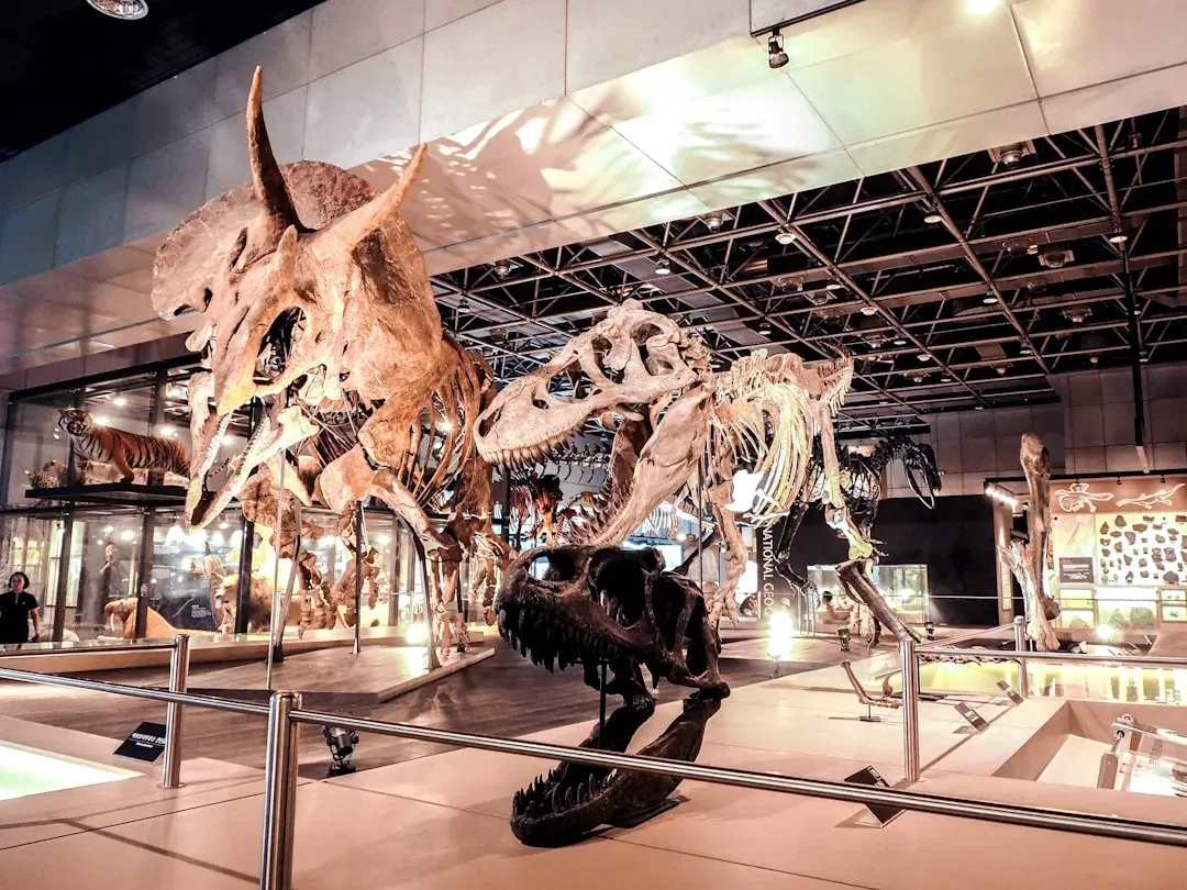 Conclusion: Dinosaur Pride and the States That Shaped Prehistory (Image Credits: Unsplash)