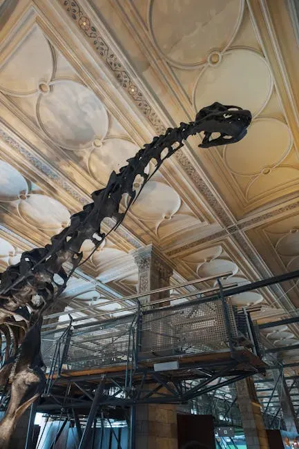 The Bone Clock: Growth Rate vs. Growth Duration (Image Credits: Pexels)