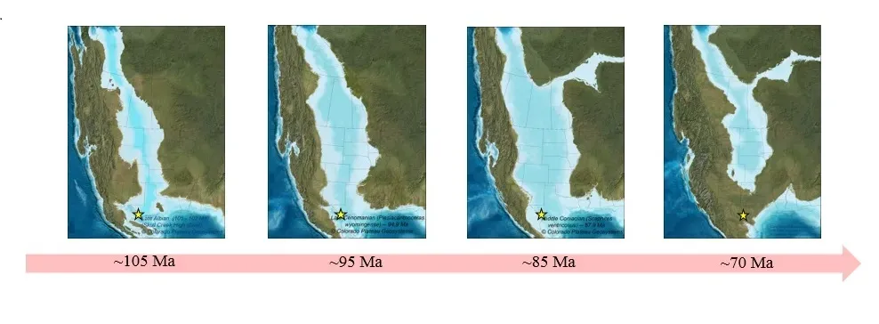 A Continent Split in Two by a Shallow Sea (By AllisonBarbato, CC BY-SA 4.0)