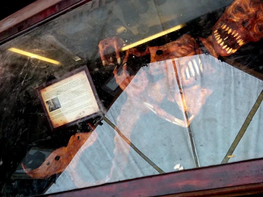 #14 - The "Mermaid" Skeletons Made From Fish and Monkey (gruntzooki, Flickr, CC BY-SA 2.0)