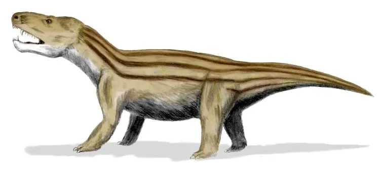 10. Cynodont - Sacrifice the Young to Save the Adults (Image Credits: Wikimedia)