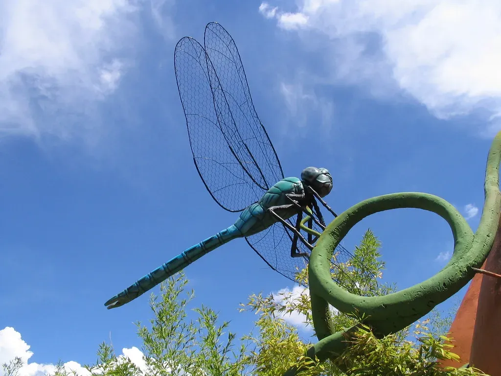 Could Giant Insects Ever Return? (funkblast, Flickr, CC BY 2.0)