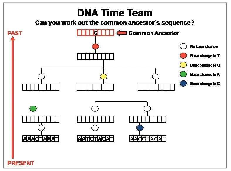 #4 DNA, Family Secrets, and the Fragility of Identity (dullhunk, Flickr, CC BY 2.0)