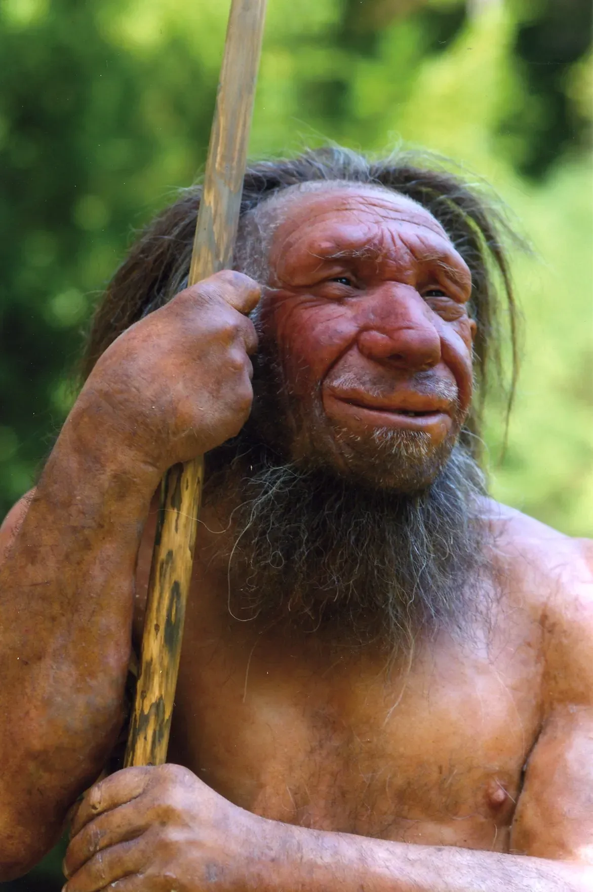 Beyond Africa: A Eurasia Patrolled by Neanderthals (By Neanderthal-Museum, Mettmann, CC BY-SA 4.0)
